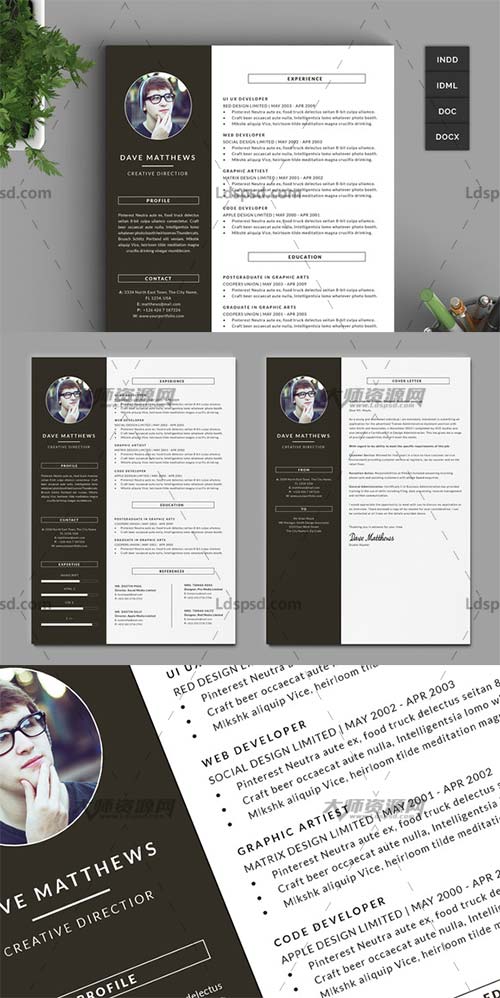 Hipster Resume CV with Cover Letter,个人简历模板(INDD/DOCX/PSD)